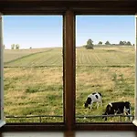 Stylish House In The Countryside 5 Km From The Sea